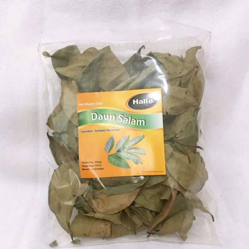 Daun Salam
